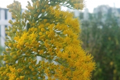 20201105_165244